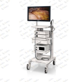 HD3 Endoscope Camera System