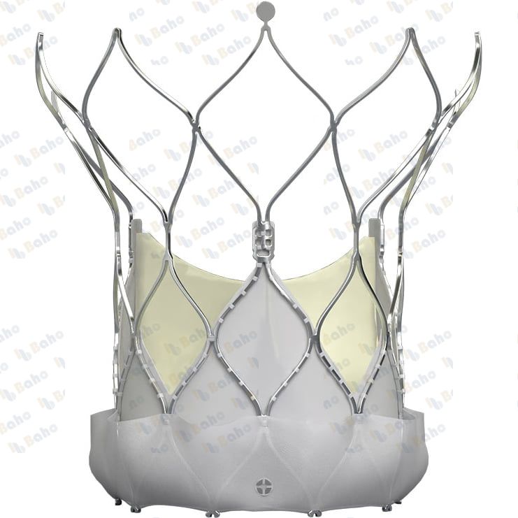 Navitor Transcatheter Aortic Valve System