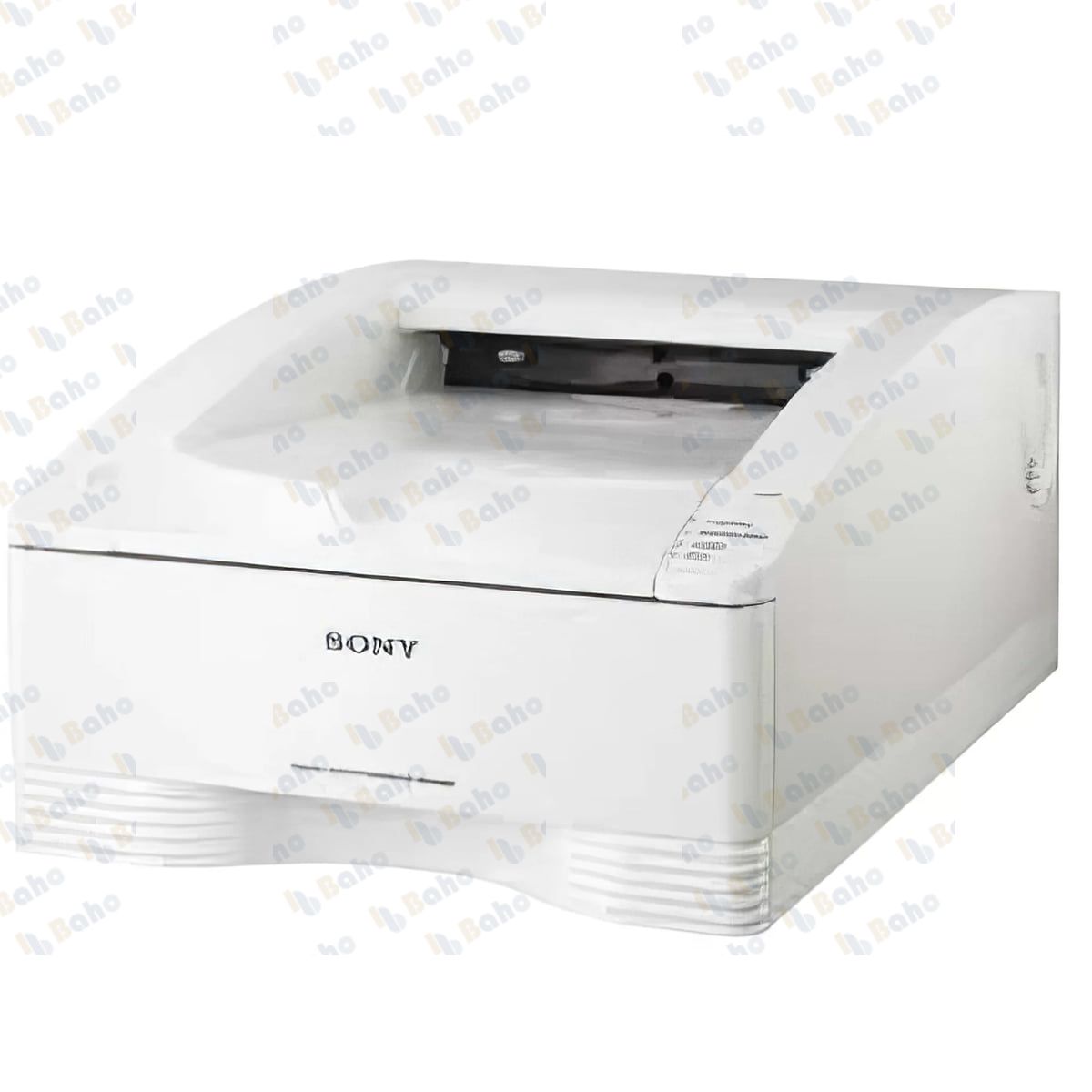 Digital Printers for Endoscopy